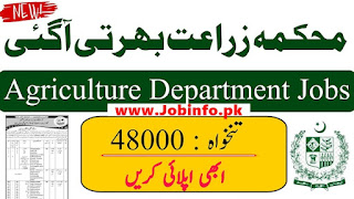 Agricultural Biotechnology Research Institute Faisalabad Jobs 2025